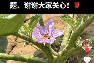 受困犯规！浓眉29分钟11中7拿下20分6板6助 末节篮板很关键