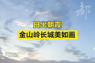 拜仁vs阿森纳前瞻：厄德高、萨卡能否出战存疑，阿方索停赛